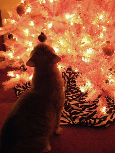 XMasTree2009b